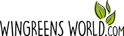 1669804579 (1)